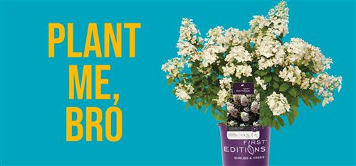 Nieuwe duurzame teeltmethode zorgt voor sterkere planten bij SundaVillage
